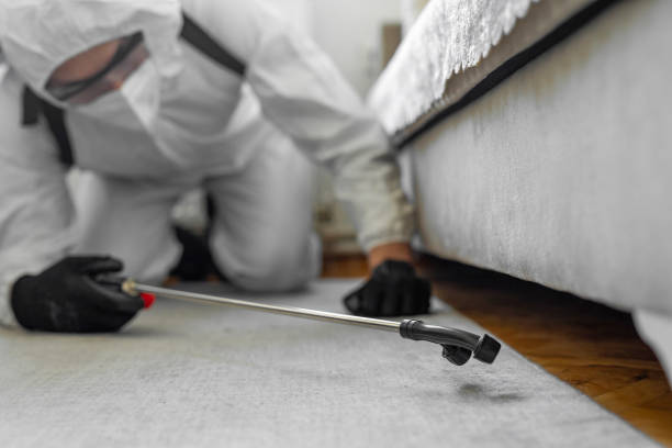 Professional Pest Control technician working in Tallapoosa County County, AL